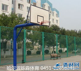 哈尔滨篮球架 哈尔滨工厂篮球架 哈尔滨学校篮球架
