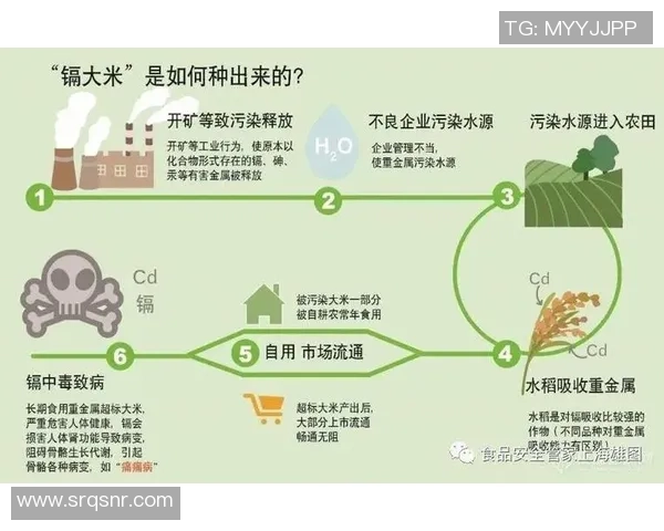 上海排球队反击策略分析与成败得失的深度探讨