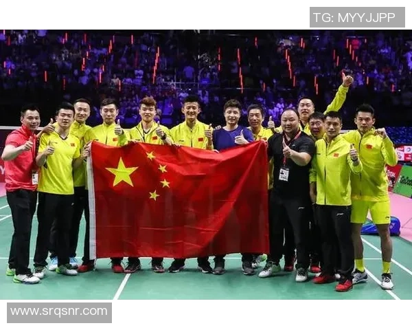 南京羽毛球队在杯赛中的速度表现分析与战术探讨