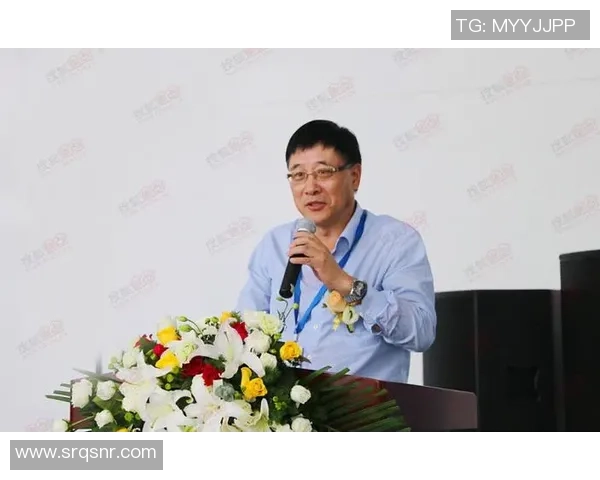 成都羽毛球队整体压制革新之路探索与发展全景分析