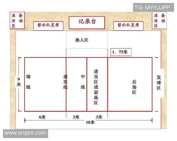 武汉排球队引领最新排球战术十大趋势全面解析与展望
